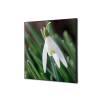 Textile Wall Decoration SET A1 White Flower Snowdrop - 0