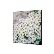 Textile Wall Decoration White Flower Spirea