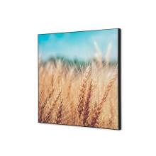 Textile Wall Decoration Grain Field