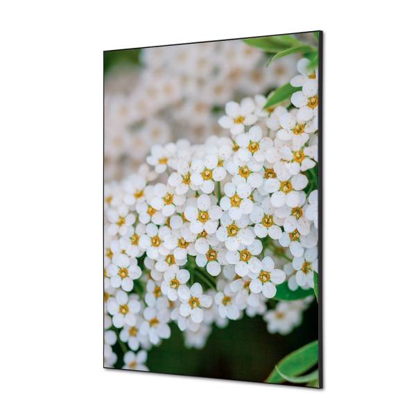 Textile Wall Decoration SET A1 White Flower Spirea