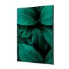 Textile Wall Decoration SET 40 x 40 Botanical Leaves Blue - 1