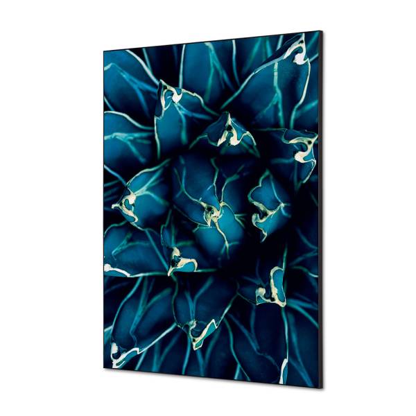 Textile Wall Decoration SET A1 Cactus Blue