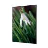 Textile Wall Decoration SET A1 White Flower Snowdrop - 1