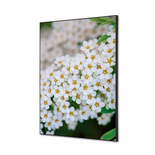 Textile Wall Decoration SET A2 White Flower Spirea