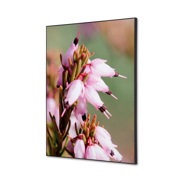 Textile Wall Decoration SET A2 Pink Flower Erica